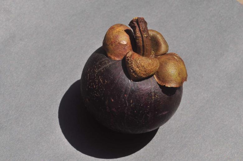 Free stock image of Mangostao created by Paulo Pedro P R Costa