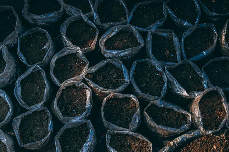 Free stock image of Planting Pot created by Juairia Islam Shefa