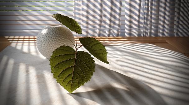 Natural Elegance