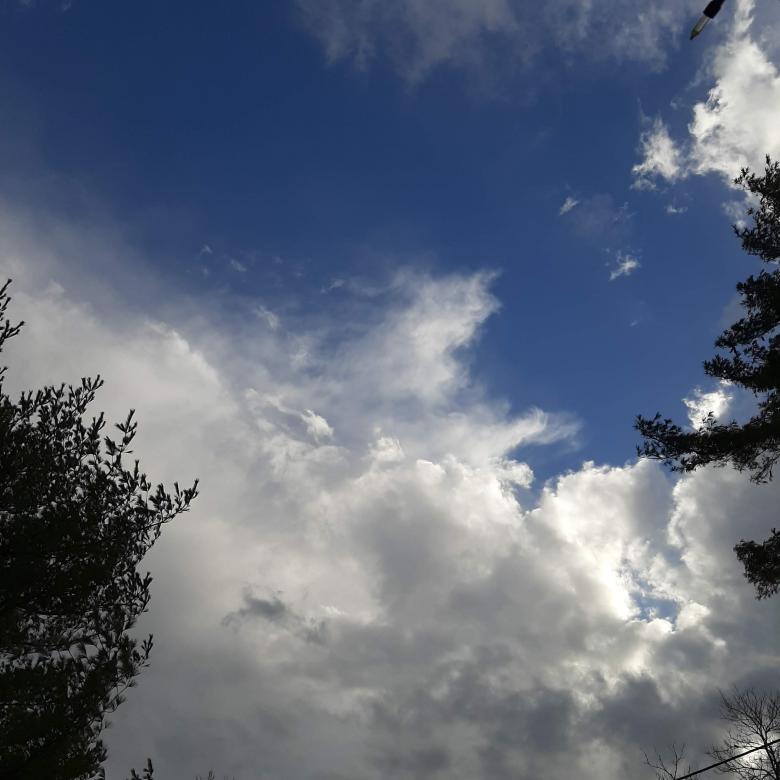 Free stock image of Blue skies created by Krystal Horn