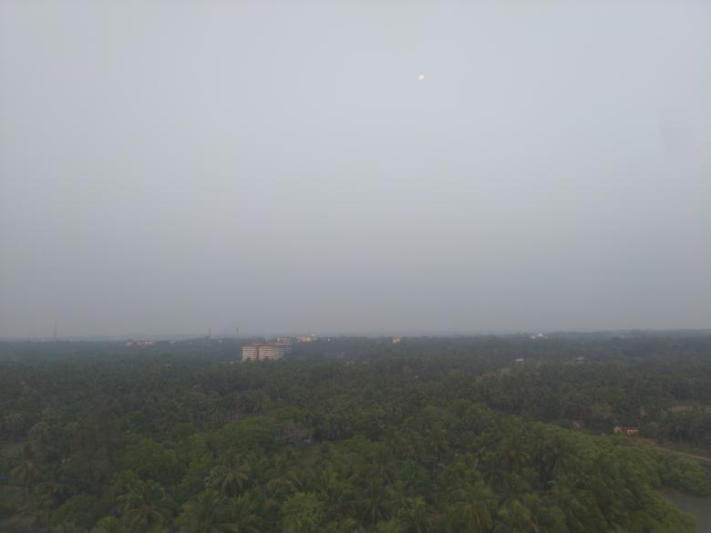 Free stock image of Tree View from the Top created by Nagabhushan Biliangadi