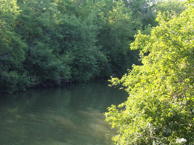 Free stock image of Saturday Afternoon At The River created by Mq Best Visual Arts