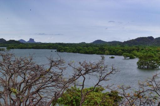 Lake view - Free Stock Photo
