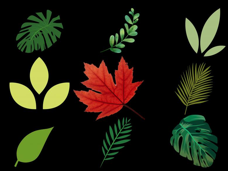 Free stock image of leaf with black background created by ishrak mir