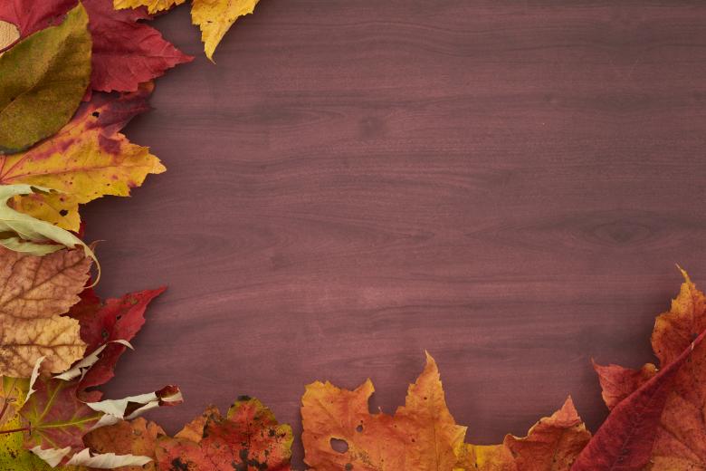 Free stock image of Fall background created by Seacoast sage