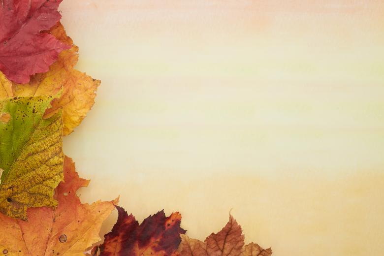 Free stock image of Fall background created by Seacoast sage
