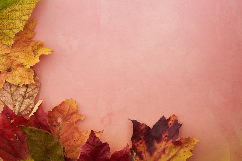 Free stock image of Fall background created by Seacoast sage