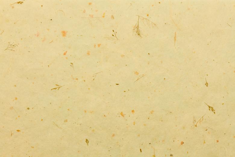 Free stock image of Natural paper created by Seacoast sage