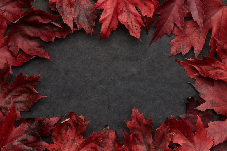 Free stock image of Fall background created by Seacoast sage