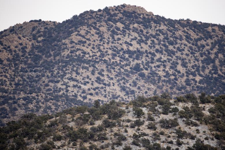 Free stock image of Scenic mountain created by Matt Bango