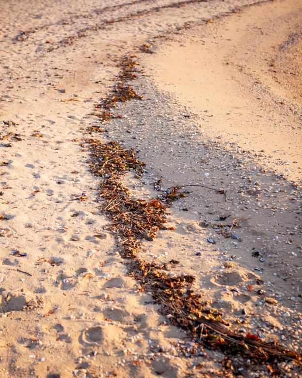 Free stock image of Beach sand created by Matt Bango