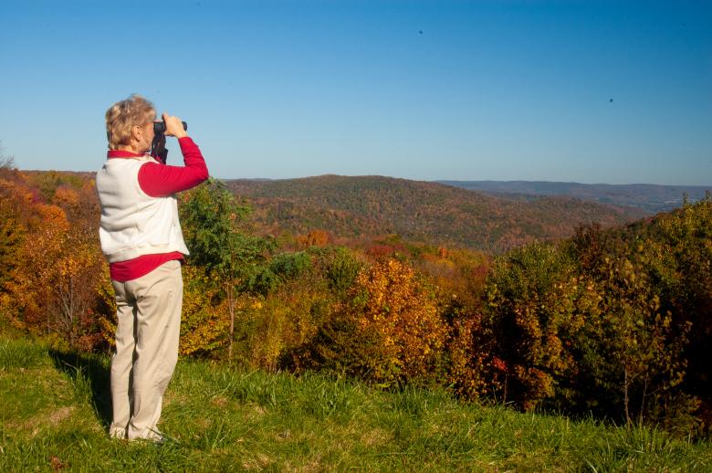 Free stock image of Scenic view created by Matt Bango