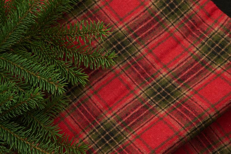 Free stock image of Seasonal background created by Seacoast sage