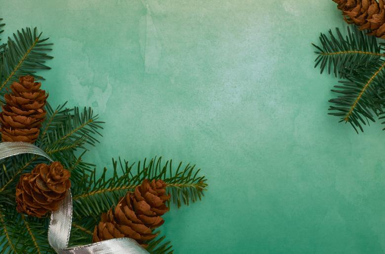 Free stock image of Seasonal background created by Seacoast sage