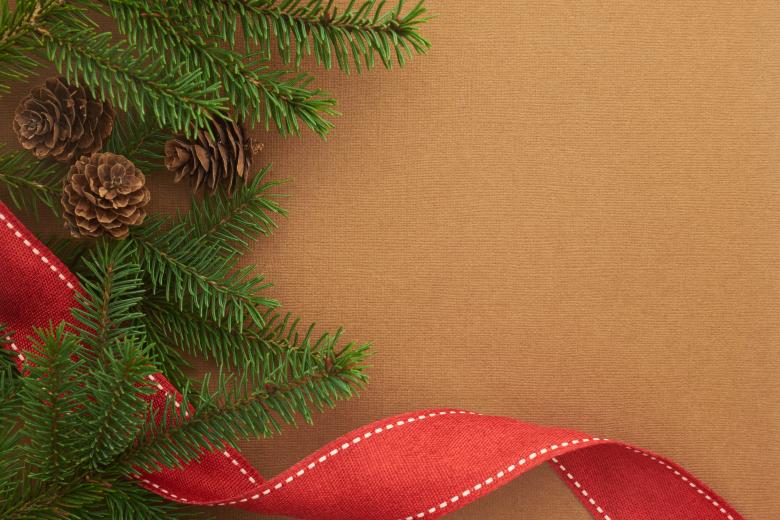 Free stock image of Seasonal background created by Seacoast sage