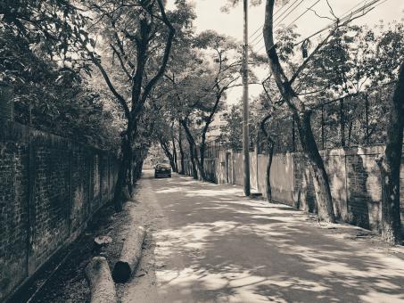Rural road and car - Free Stock Photo