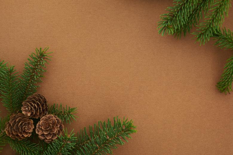 Free stock image of Seasonal flatlay created by Seacoast sage