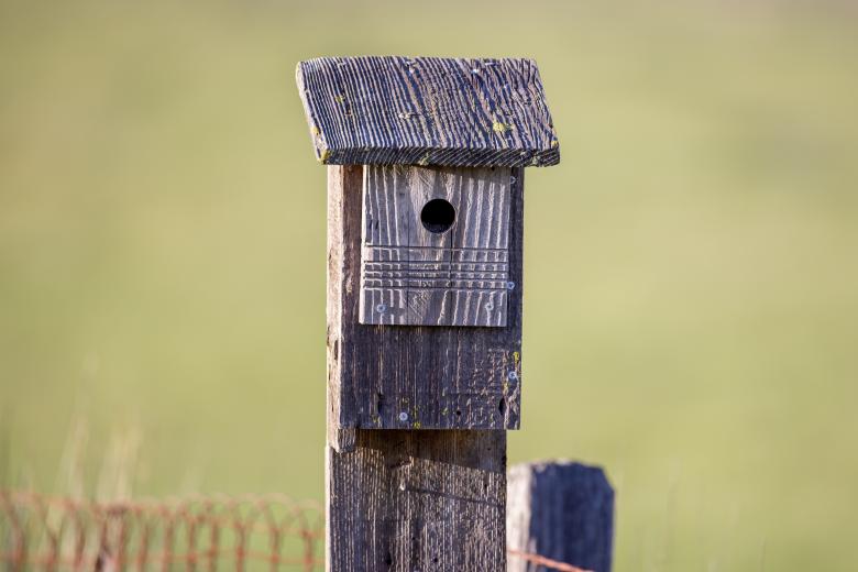 Free stock image of Bird house created by Matt Bango