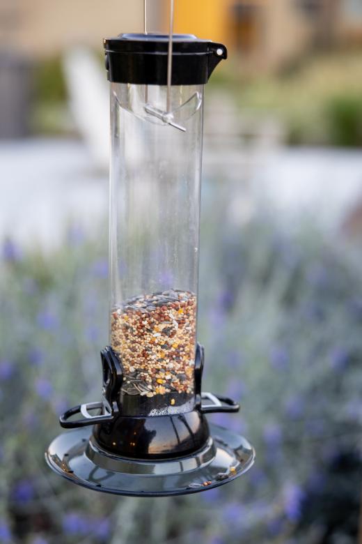 Free stock image of Bird feeder created by Matt Bango