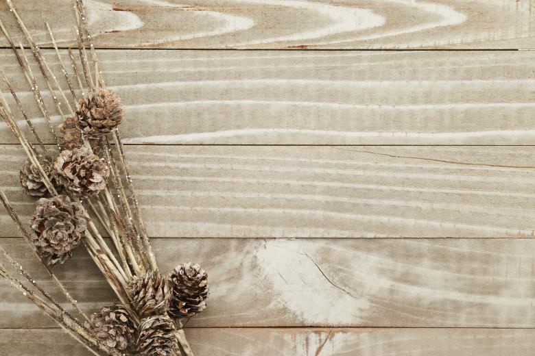 Free stock image of Rustic seasonal background created by Seacoast sage