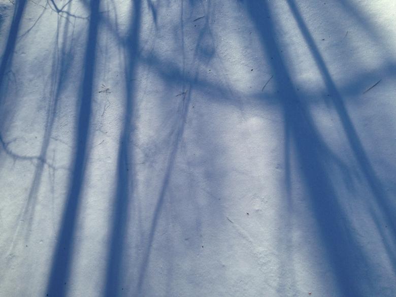 Free stock image of Shadows in the snow created by Secret Agency