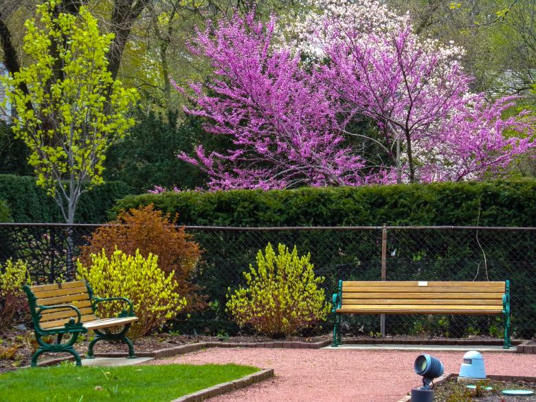 Free stock image of Hi Res Garden Wallpaper  created by Mq Best Visual Arts