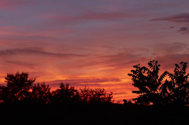 Free stock image of Vivid Sunset created by Secret Agency