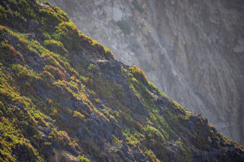 Free stock image of Rocky mountain cliff created by Matt Bango