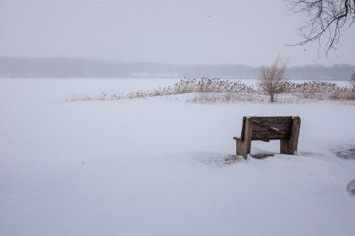 Free Stock Photo of Winter landscape