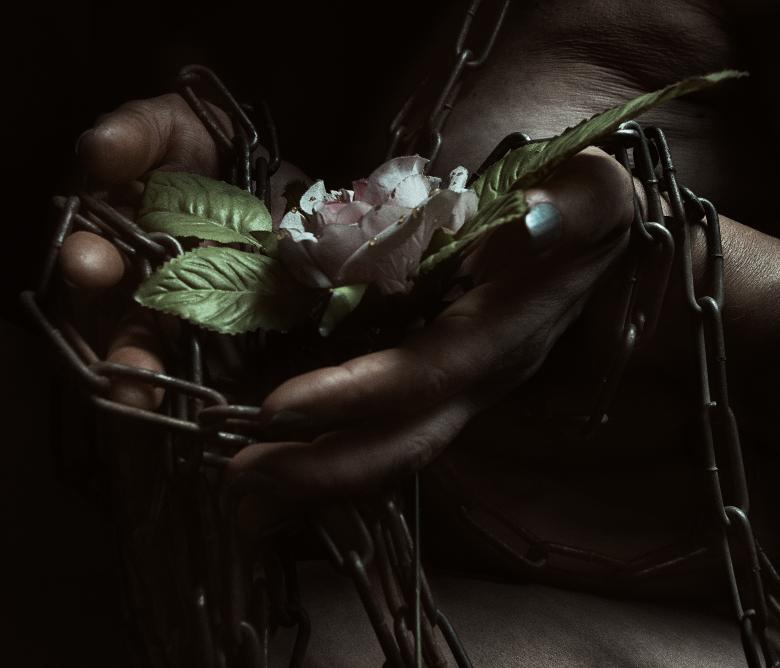 Free stock image of Hands holding flower created by Alexander Krivitskiy