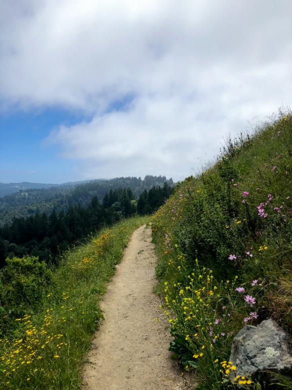 Free stock image of Rural path created by Matt Bango