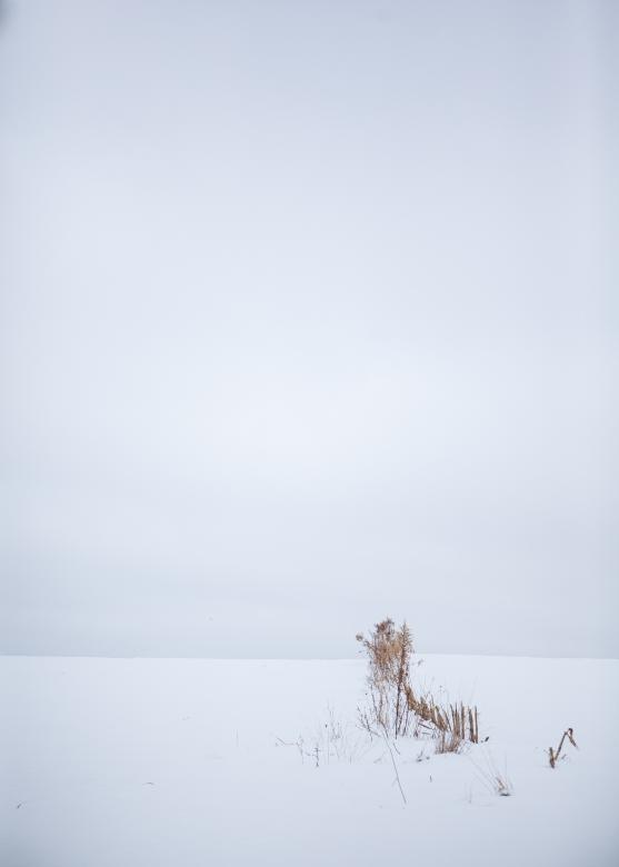 Free stock image of Winter scene created by Matt Bango