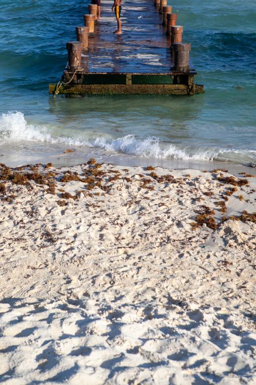 Free stock image of Beach pier created by Matt Bango