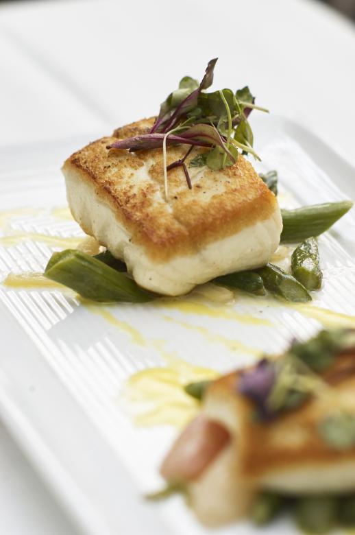 Free stock image of Gourmet fish dish created by Secret Agency