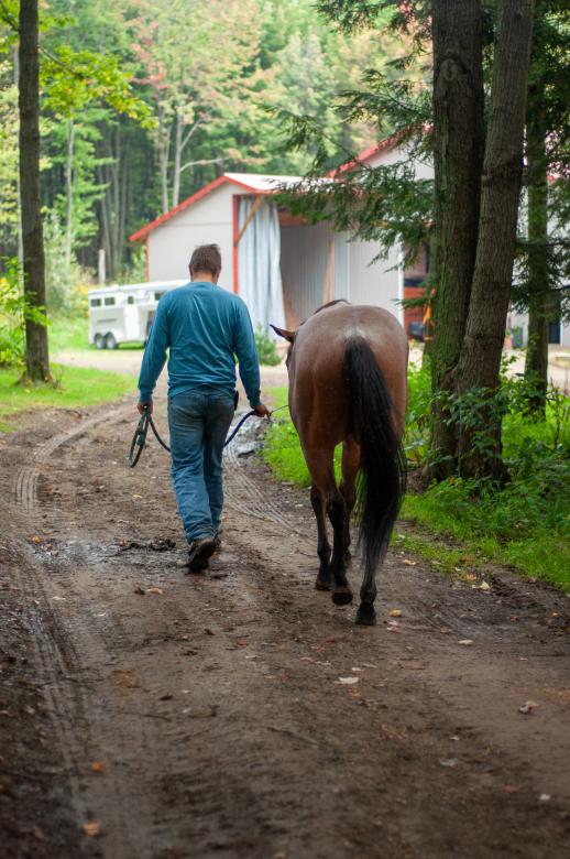 Free stock image of Man walking horse created by Matt Bango