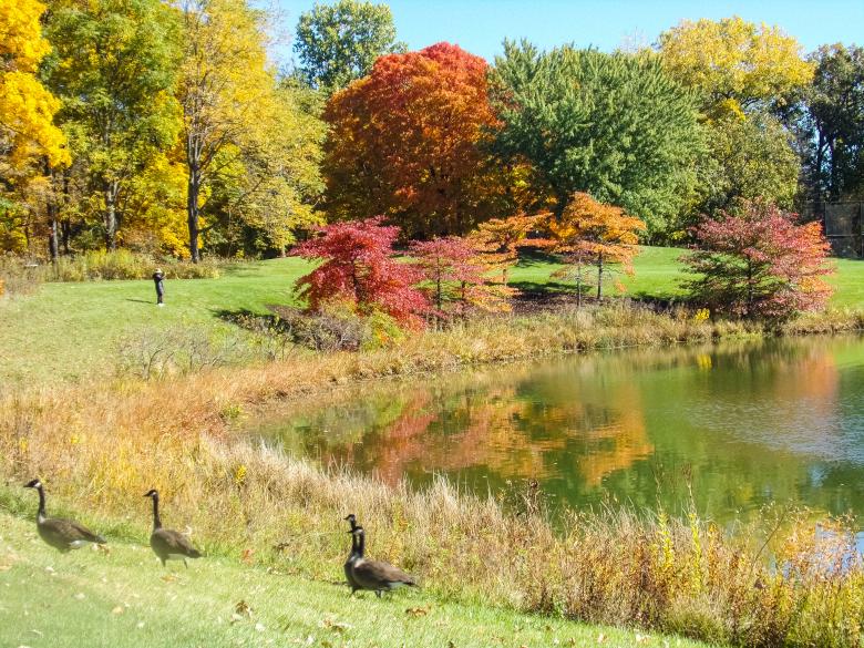 Free stock image of Capturing photos at Botanic Gardens created by Mq Best Visual Arts