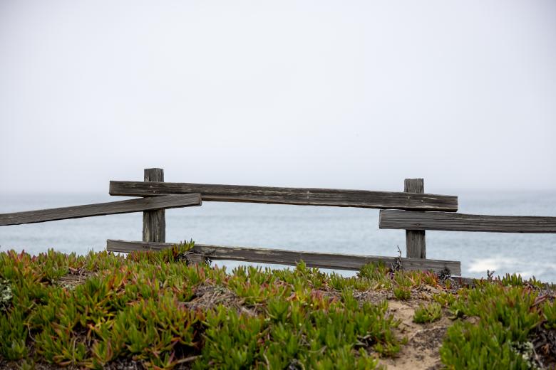 Free stock image of Rustic wooden fence created by Matt Bango