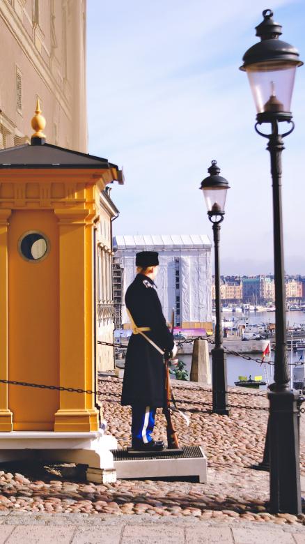 Free stock image of Guard created by Daria Chemeris