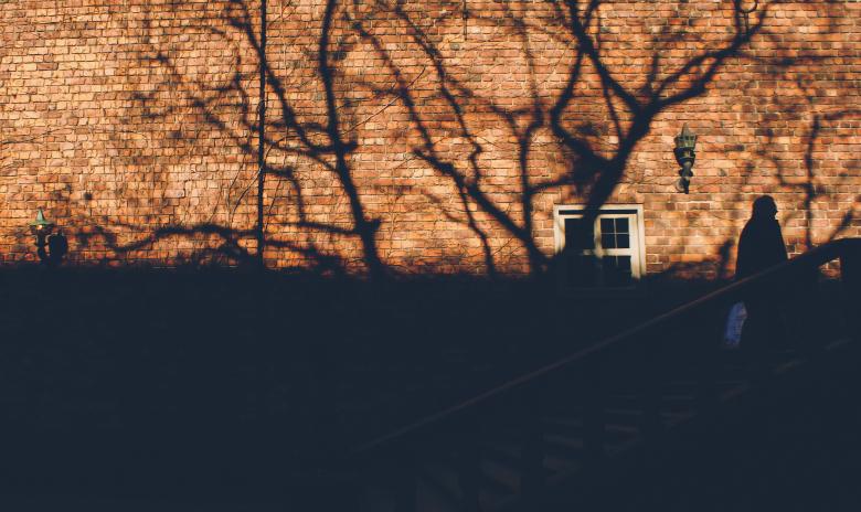 Free stock image of Brick wall shadow created by Daria Chemeris