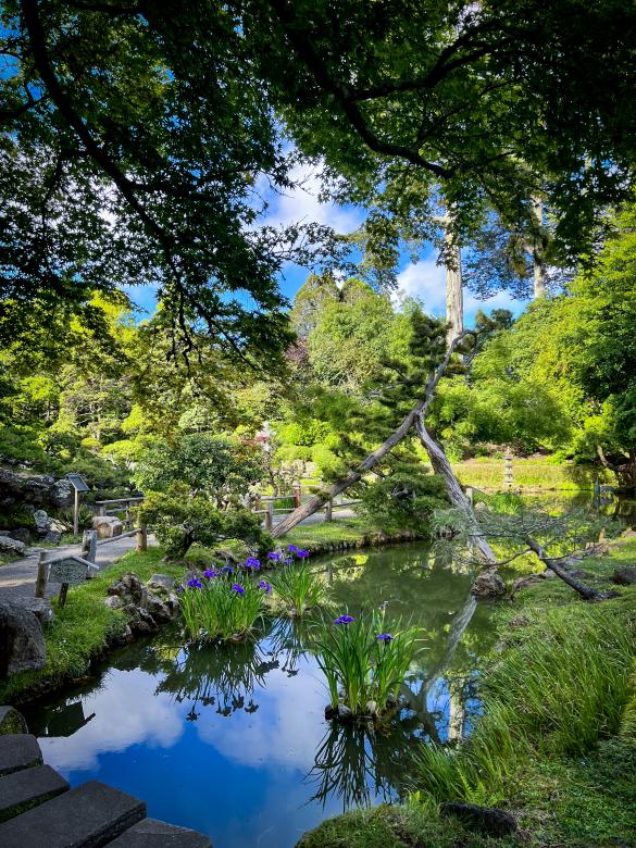 Free stock image of Pond landscape created by Matt Bango