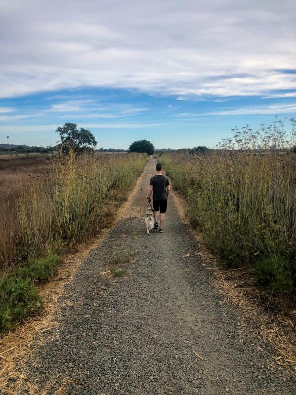 Free stock image of Man walking dog created by Matt Bango