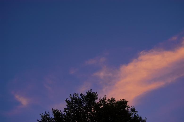 Free stock image of Pink Clouds created by Secret Agency