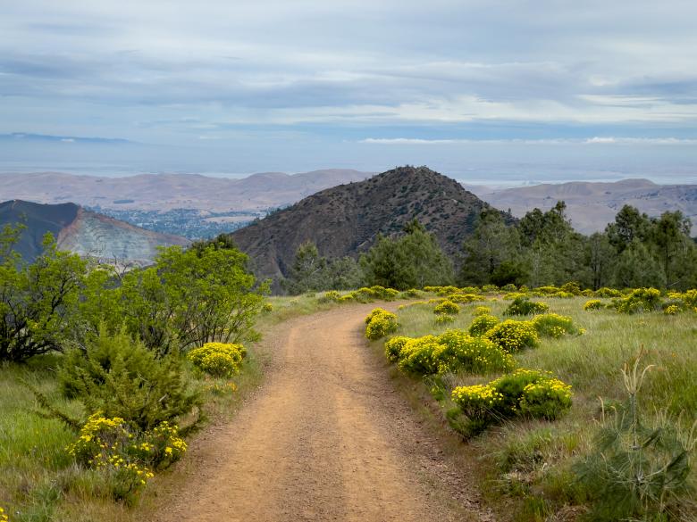 Free stock image of Rural Dirt Road created by Matt Bango
