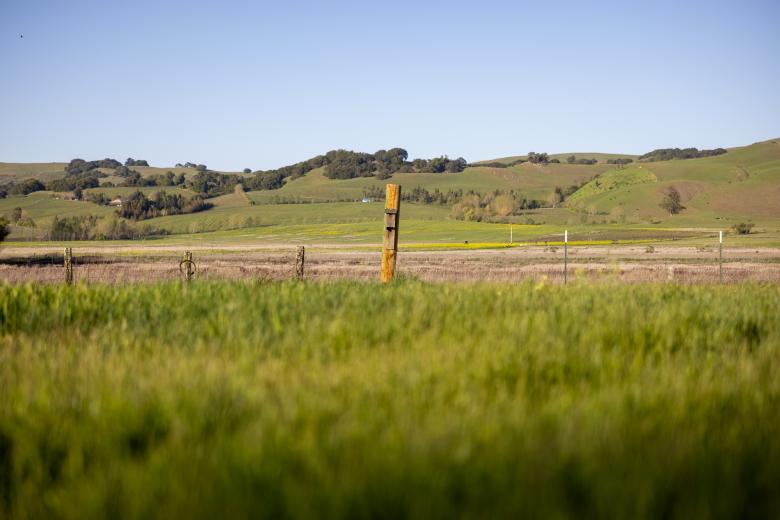Free stock image of Farmland Field created by Matt Bango
