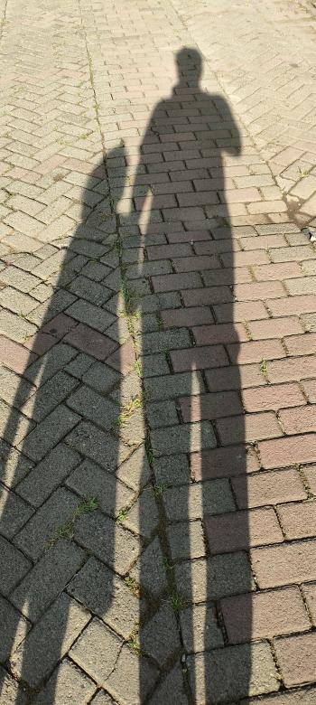 Free stock image of People in shadow created by muhamad efendi