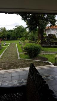 Lawn and garden - Free Stock Photo