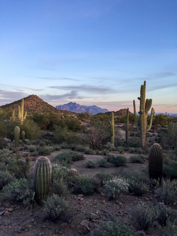 Free stock image of Desert landscape created by Matt Bango
