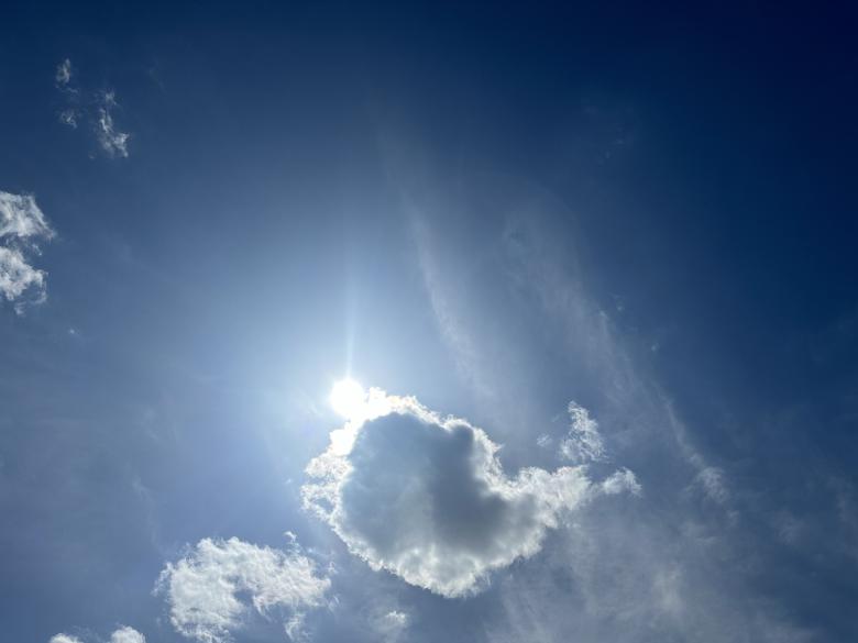 Free stock image of Eclipse Day created by Amber Layne 