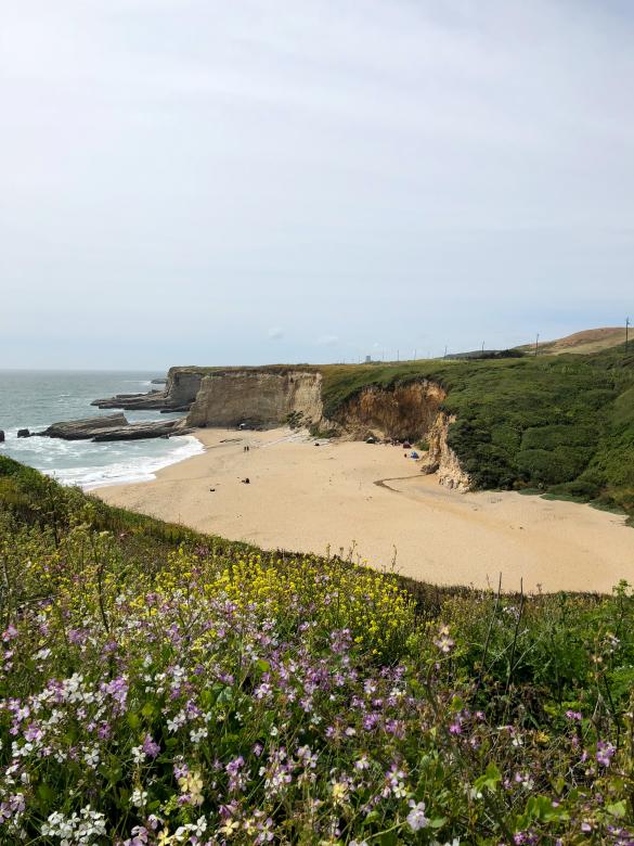 Free stock image of California beach created by Matt Bango