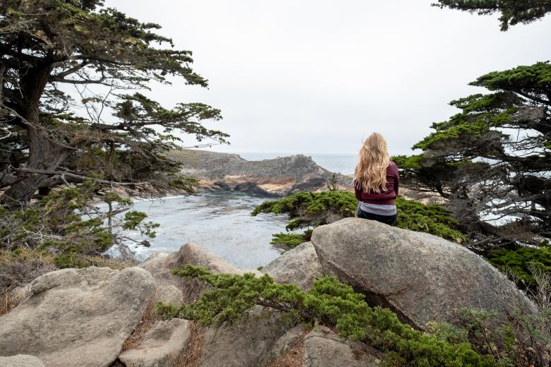 Free stock image of Woman in nature created by Matt Bango